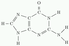 Chemical formula of Guanine