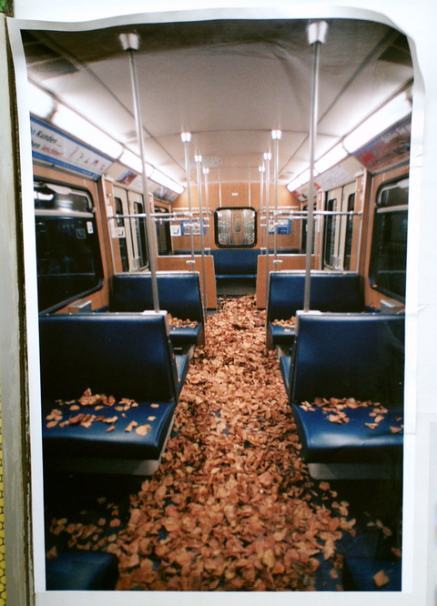 Subway of Leaves, Anonymous, Stachus U1, München